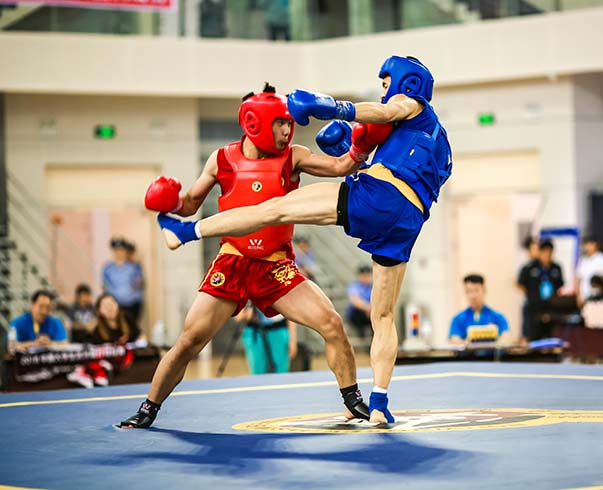 2018中國(guó)大(dà)學生(shēng)武術(shù)散打錦标賽